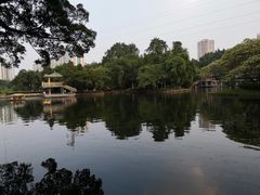 -晓港公园