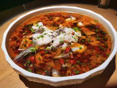 -平措康桑·和牛自助观景餐厅(布达拉宫店)