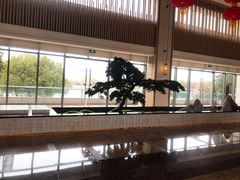 -上海佘山世茂艾美酒店