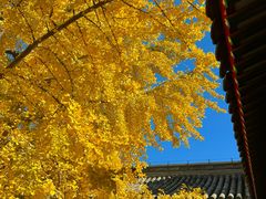 -承恩寺