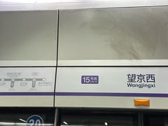 -望京西(地铁站)