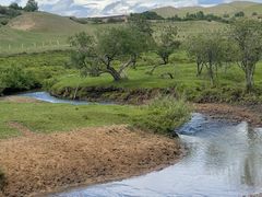 -塞罕坝国家级自然保护区