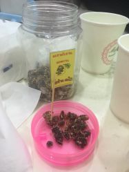 -印奈儿美甲手足护理机构