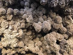 -正佳自然科学博物馆