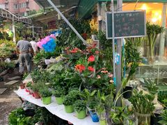 -曲阳花鸟市场(曲阳路店)