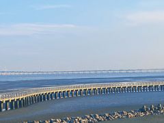 -南汇嘴观海公园