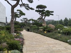 -罗红摄影艺术馆