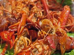 高压锅小龙虾-蚝魁竹笼蒸生蚝 余杭店