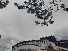 -宗角禄康公园