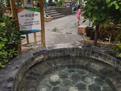 -兴芮温泉度假区