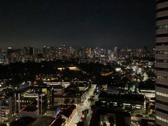 -新加坡瑞士史丹福酒店