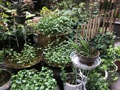 -素清香(解放路店)