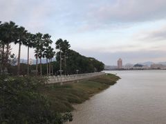 -江心屿景区