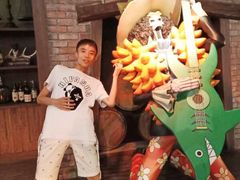 -东京塔海贼王主题公园