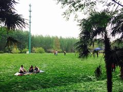 -黄海国家森林公园