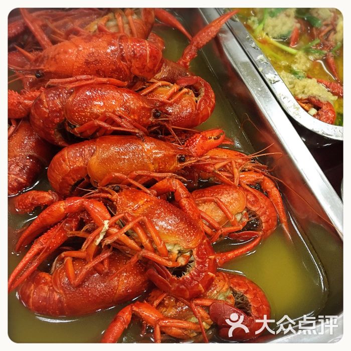 金湖生态龙虾-图片-温州美食-大众点评网