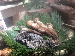 -昆虫窝子·特色云南菜(拓东路总店)