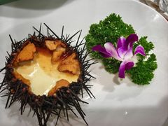 海胆蒸蛋-巧克力渔家.小船海鲜胶东菜(万平口店)