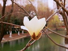 -白塘生态植物园