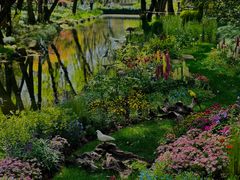 -上海共青森林公园