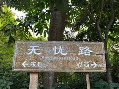 -深圳仙湖植物园