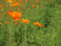 -漩门湾国家湿地公园