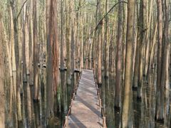 -青山湖景区