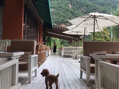 -Local泰莲庭(虹鳟鱼店)
