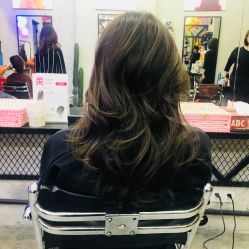 -SALON V