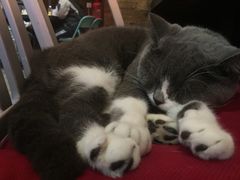 -MIKAKU(万达广场上海宝山店)