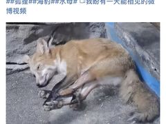 -大明湖海底世界