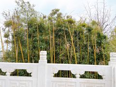 -铁道游击队纪念馆