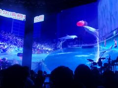 -斯卡拉演艺集团