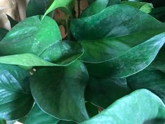 -在路上酒吧(大理古城店)