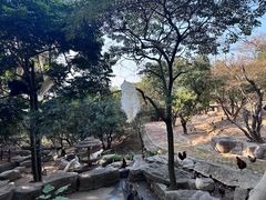 -泉州海丝野生动物世界