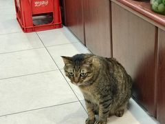 -么凤(波斯富街店)