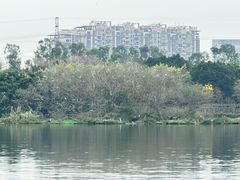 -海珠湖公园