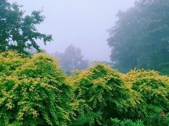 -四明山国家森林公园