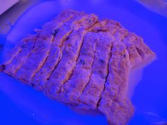 -内蒙古驻京办餐厅