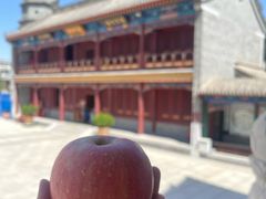 -天津大悲禅院