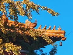 -方山风景区定林寺