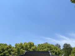 -上海佘山国家森林公园天马山园