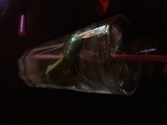 莫吉托-Helens海伦司小酒馆(复旦大学店)