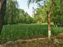 -西安市长乐公园