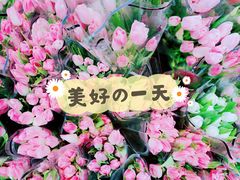 -循礼门鲜花花市(武汉循礼门店)