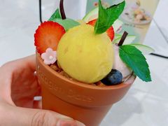 -哈根达斯(皇城恒隆广场店)