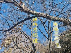 -慕田峪长城