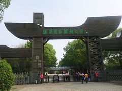 -溱湖国家湿地公园