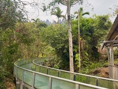 -七仙岭温泉国家森林公园