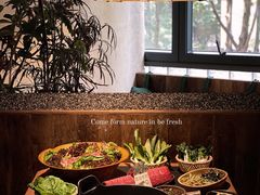 -大龙燚·旷野鲜火锅(广州首店)